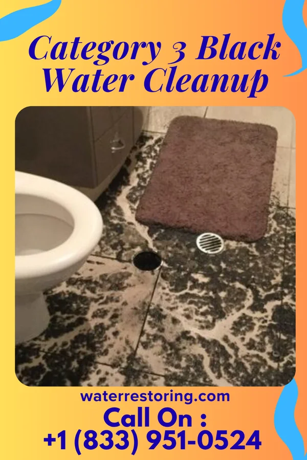 Category 3 Black Water Cleanup in Burlington Junction, MO