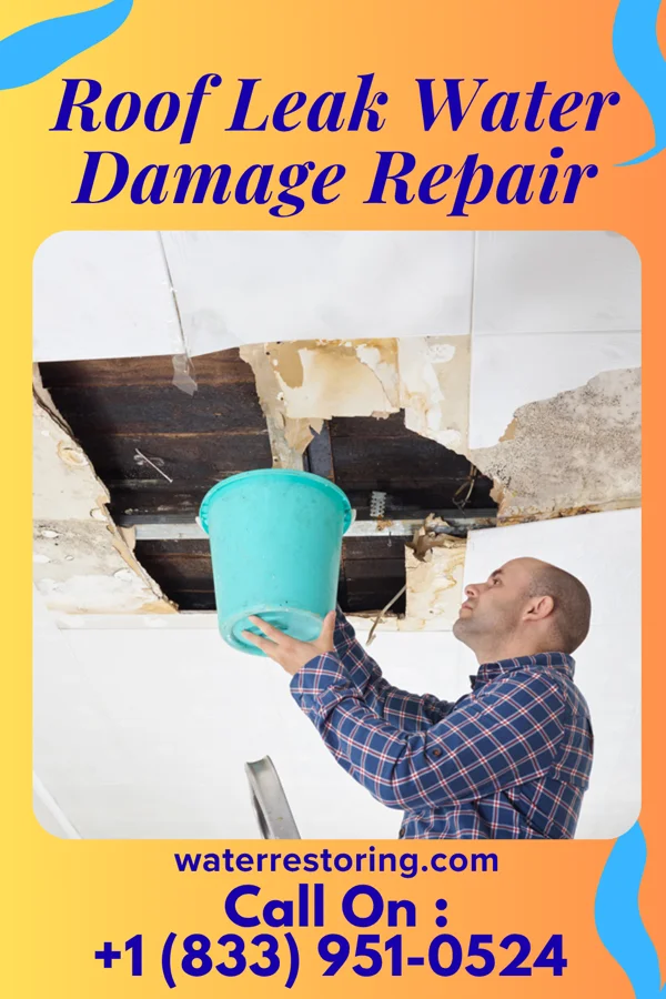 Roof Leak Water Damage Repair in Burlington Junction, MO