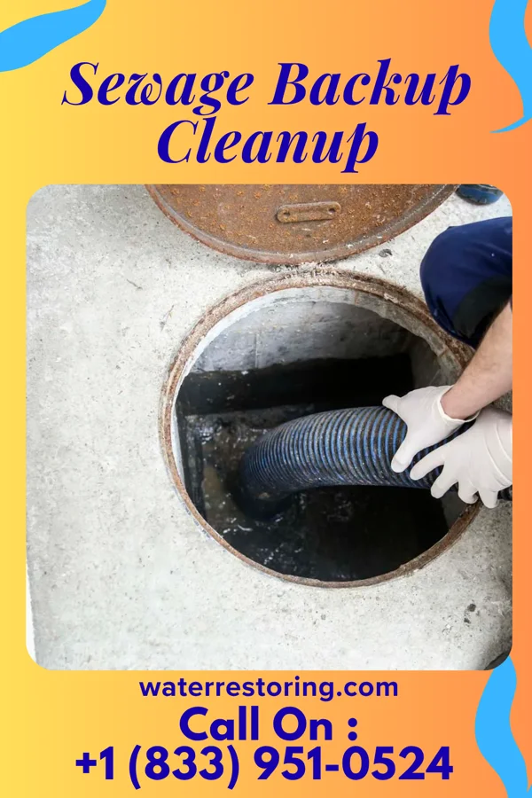 Sewage Backup Cleanup in Burlington Junction, MO
