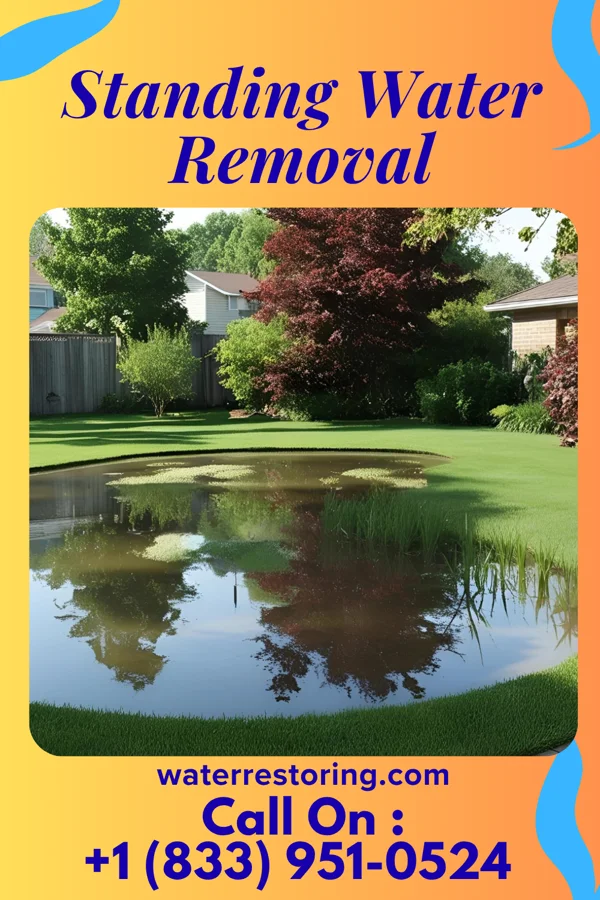 Standing Water Removal in Burlington Junction, MO